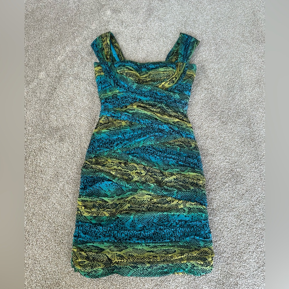 BCBG Maxazria Woman’s Bodycon Dress
Blue and Green snakeskin print